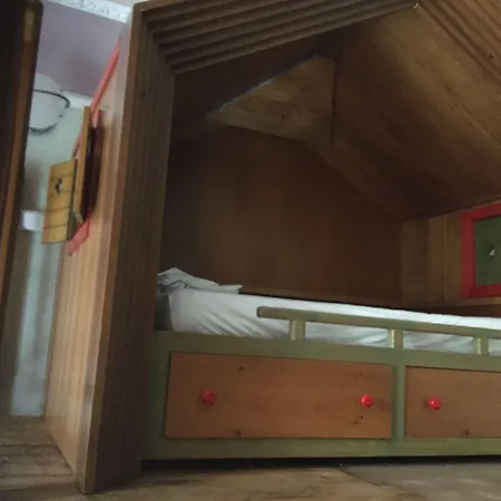 Due Papi سافونا