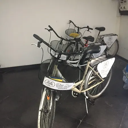 Due Papi سافونا